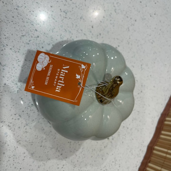 Martha Stewart "Gather and Give Thanks" Ceramic Pumpkin Decor in Sage - Picture 3 of 5